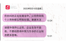 赤壁为什么选择专业追讨公司来处理您的债务纠纷？